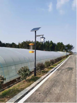 Best Solar Insecticidal Lamp: Naturally Effective Pest Control for Your Garden