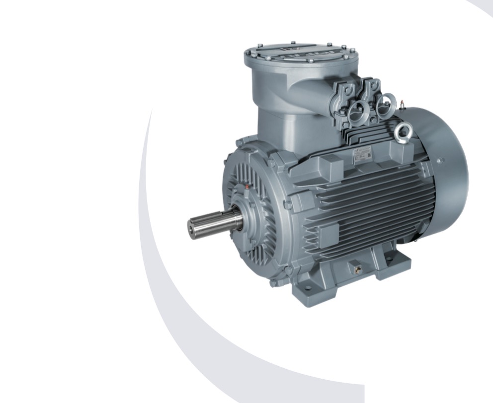 Reliable Three-Phase Asynchronous Motor Supplier for High-Efficiency Industrial Applications